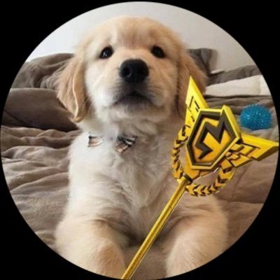 nvxfiez_'s profile picture. 