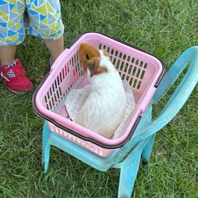 9yZ0keiWJX49476's profile picture. 