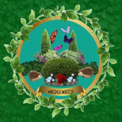 Official account of #CatsOfTwitter #Hedgewatch’ers 😺🐾🌳 For cats who love to watch & sniff hedges. Let us know if you would like to join!