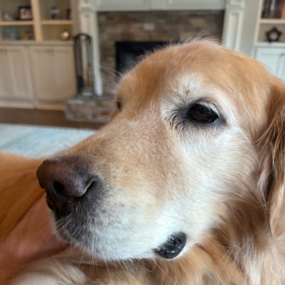 mwh25's profile picture. 