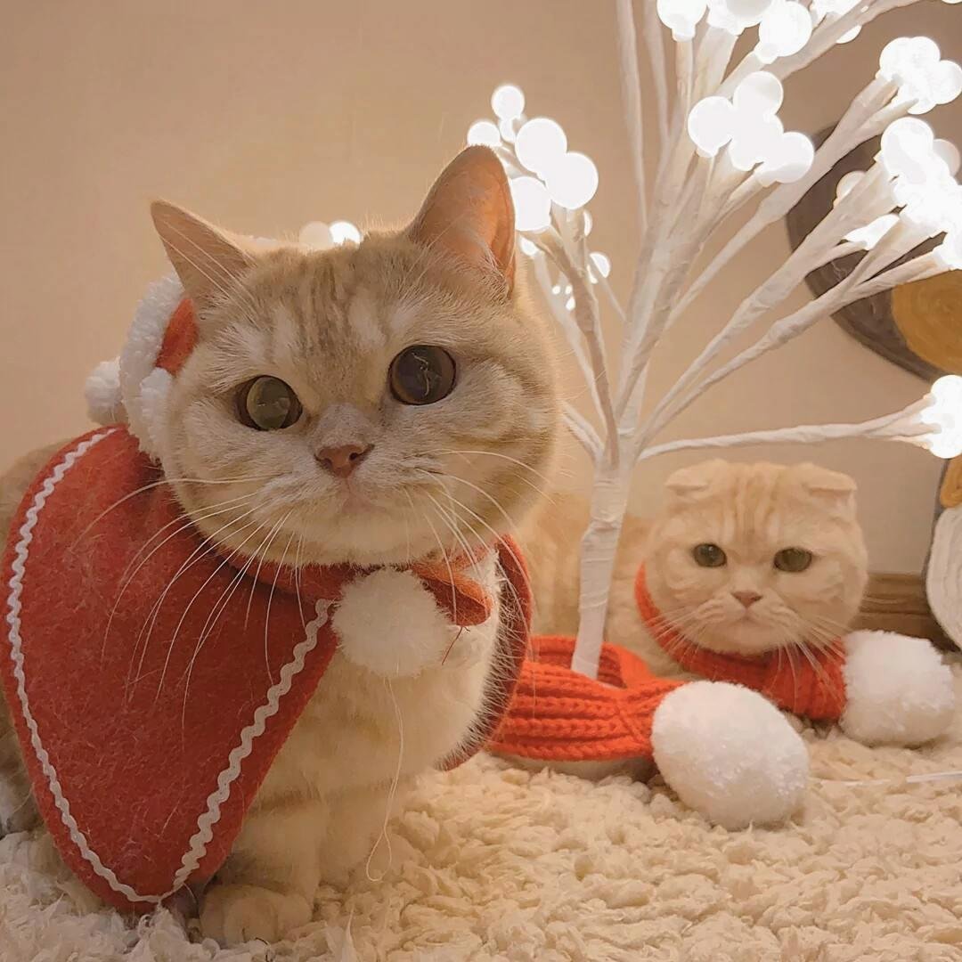 guunoogm's profile picture. 