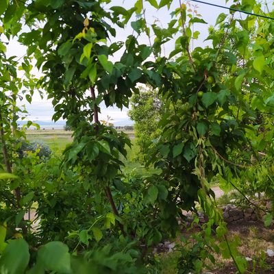 Aacrr27's profile picture. 