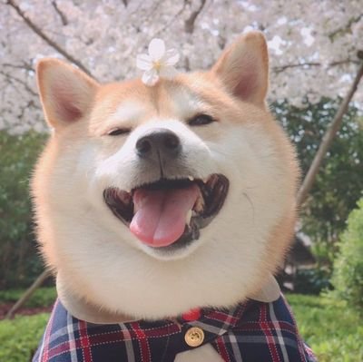 wanghong1195171's profile picture. 