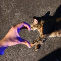 Inclusive (@kuriatwts) 's Twitter Profile