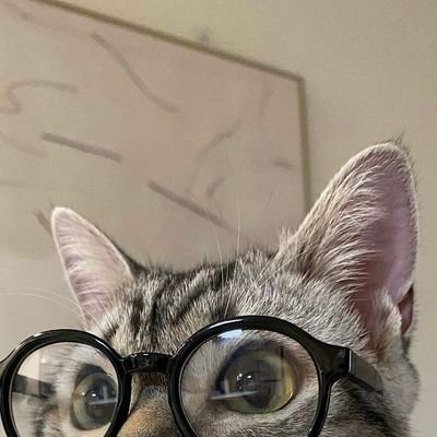 Aew1439893's profile picture. 