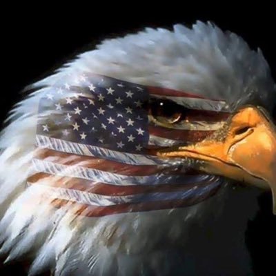 🦅 The Eagle Force 🇱🇷 — Unstoppable Patriots, forged in courage and fueled by vision. We rise for freedom, stand for truth, and spirit of MAGA! 💪🔥✊️🇱🇷