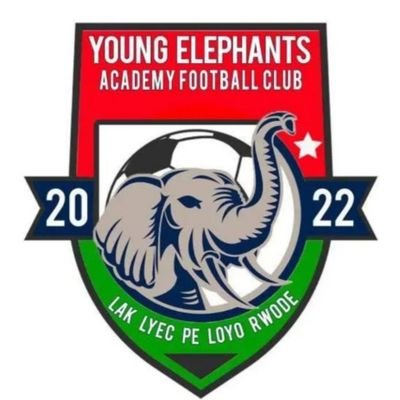 CMotgan's profile picture. NWOYA DISTRICT. NFA