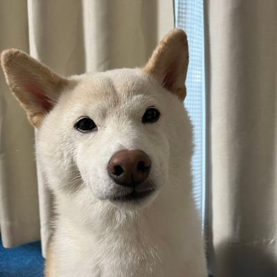 人生で一番素晴らしいのは、愛する人々と愛犬、訪れた場所、そして旅の途中で作った思い出です。無言フォローお詫び申し上げます。