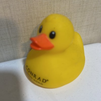 8dsyhy5qqv's profile picture. 