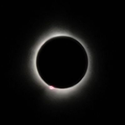 Goobiverse's profile picture. 