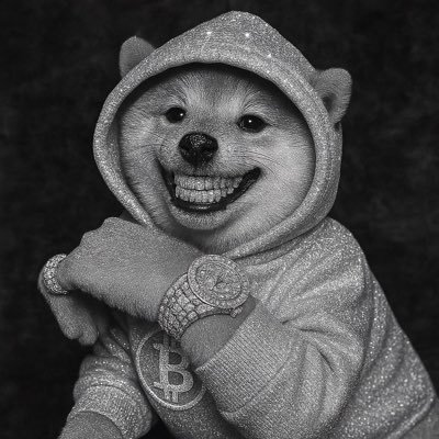 jingfei80's profile picture. 