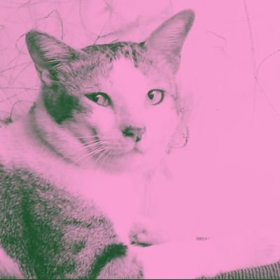 sigit_yuono's profile picture. #YNWA