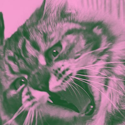 🇬🇧 🇮🇩 ok~ || she/they, 25, artist & writer (on hiatus)!