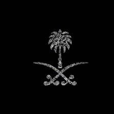 Xilkxc's profile picture. طالبة في @FCM_KAU