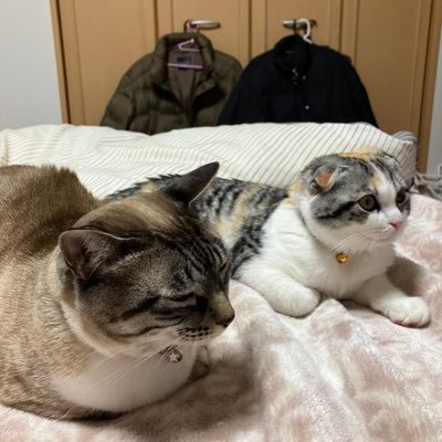 Yona20193119637's profile picture. ガンダムファースト世代です😊 ガンダム、ガンプラで意気投合しましょう😤たまに百里基地で戦闘機ボーっと眺めてます🛫