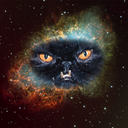 Grace Bush-Vineberg - @hotshotkittykat - Twitter