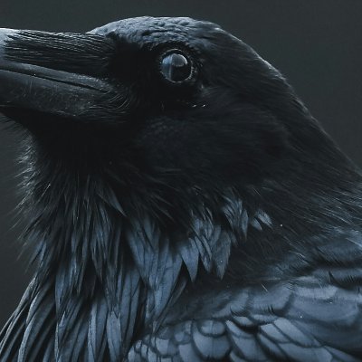 darcrowmon's profile picture. Learning horror game development and asset creation.