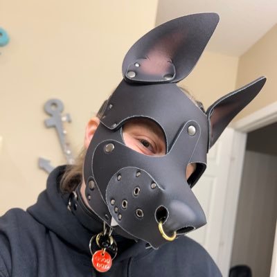 Graulligator's profile picture. MainSona: Hyena: Grau | PuppySona: Malinois: Gator | They/Them/Puppy |32| Pisces | Switch | PAWS | Married to 🐶🪢🐰 @01WhiteRabbit01 🚫18+🚫NSFW🚫