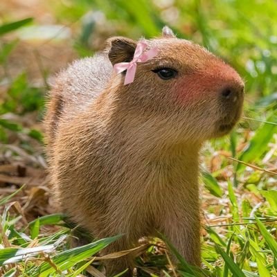 kkk_jj7's profile picture. +82