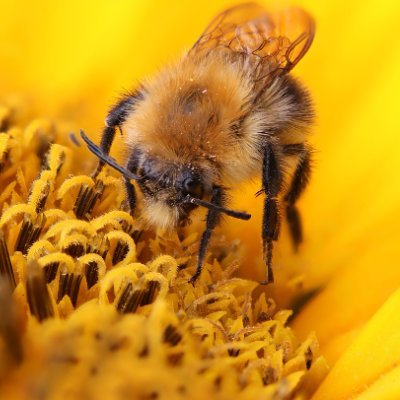 MarkDWiggins's profile picture. Just an average guy who carries a Glock. Husband, father, son, brother, Christian.Quiet bloom 24 y.o Ret USCG. Lisenced gun dealer.