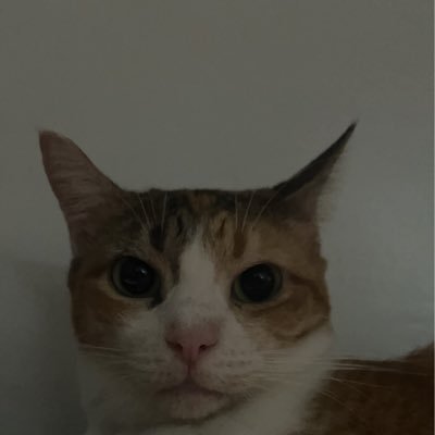 getsoverherself's profile picture. 