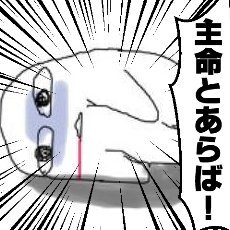 げっちゅ🩹8/31東6ミ45aさんのプロフィール画像