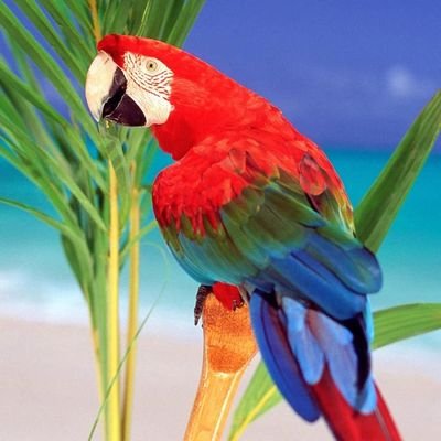 MadarMotaz's profile picture. https://t.co/xN3cwmM8ys