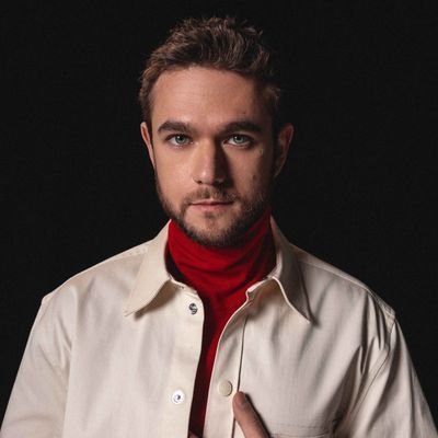 Zedd Updates Profile