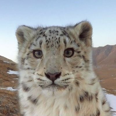 una ventaja de la nueva tendencia es la de no anticipar dogmáticamente el nuevo mundo sino querer encontrarlo a través de la crítica del que nos precede