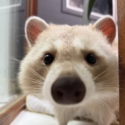 Remilavender's profile picture. 