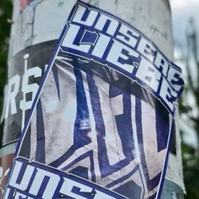 Fußball, Wurst & Bier-Mit dem VfL in Liga 4