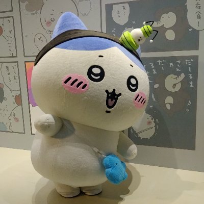 葵さんのプロフィール画像