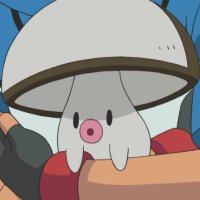 널개치는 땅을 기는 사나운 버슬 (@ccccccccccza) 's Twitter Profile