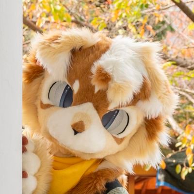 HAON(입시 반동결)さんのプロフィール画像
