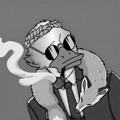 A duck wandering the misty alleys of Web3
