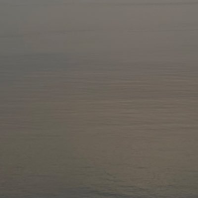 gOjcVMSs3utcsVG's profile picture. 