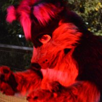 Naugthy yreN (@naugthy_yren) 's Twitter Profile