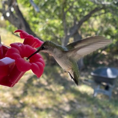 Military aviation junky, Pocket Theologian, Fishing fanatic, Poet and Photographer