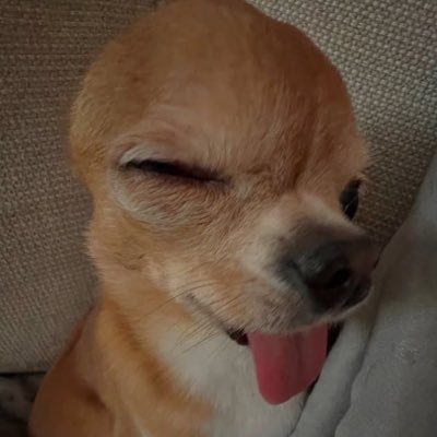 slowculi's profile picture. 