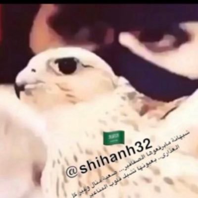 غرد على كيفك ترى الناس تقراك وان كنت طيب طاب مثلك كلامك خذ هالنصيحه وخلها دوم وياك كل ما احترمت الناس زاد احترامك🚫#الخاص حظر🚫