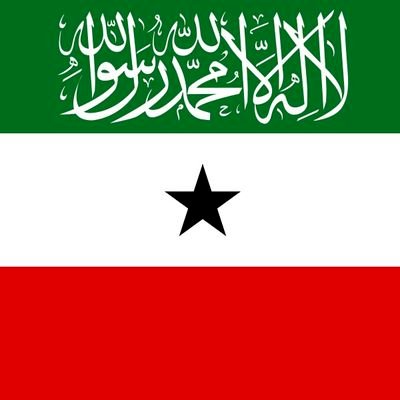 Somaliland Advocate | Passionate about promoting Somaliland's culture, history, and progress.🐪