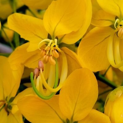 HariMogali54494's profile picture. 