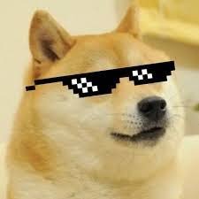 cholebhhaturee's profile picture. Future engineer… if depression doesn’t graduate first