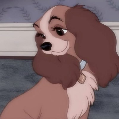 nyc_megan711's profile picture. 