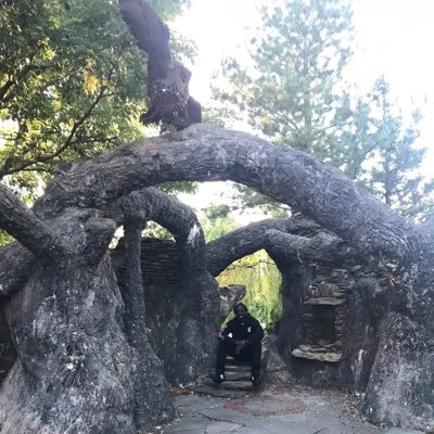Papi Zion Profile
