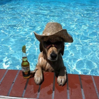 rs203676's profile picture. I stopped trying to prove my worth to people who never saw it.