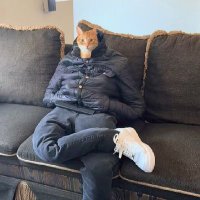 Paul Lopez (@paulpasitas) 's Twitter Profile
