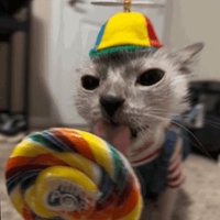 abnormal sushi (@sushiabnormal) 's Twitter Profile