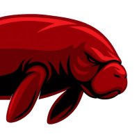 Manatee Research (@manateeres) 's Twitter Profile