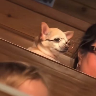 alan_sv228's profile picture. join the discord. so I can kick you